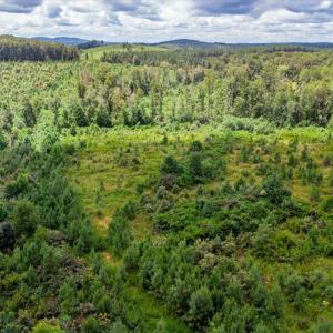 Photo #31 of 62 Grandmas Hill Road, Amherst, VA 62.0 acres