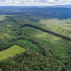 Photo #11 of 62 Grandmas Hill Road, Amherst, VA 62.0 acres