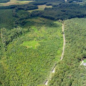 Photo #5 of 62 Grandmas Hill Road, Amherst, VA 62.0 acres