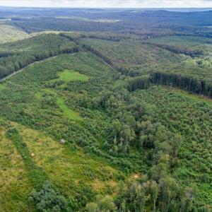 Photo #13 of 62 Grandmas Hill Road, Amherst, VA 62.0 acres