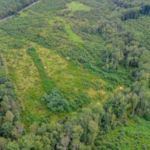 Photo #15 of 62 Grandmas Hill Road, Amherst, VA 62.0 acres