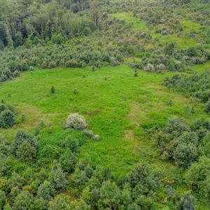 Photo #22 of 62 Grandmas Hill Road, Amherst, VA 62.0 acres