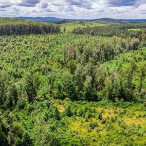 Photo #32 of 62 Grandmas Hill Road, Amherst, VA 62.0 acres