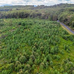 Photo #28 of 62 Grandmas Hill Road, Amherst, VA 62.0 acres