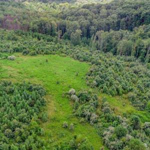 Photo #19 of 62 Grandmas Hill Road, Amherst, VA 62.0 acres