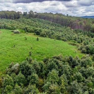 Photo #33 of 62 Grandmas Hill Road, Amherst, VA 62.0 acres