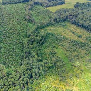 Photo #7 of 62 Grandmas Hill Road, Amherst, VA 62.0 acres