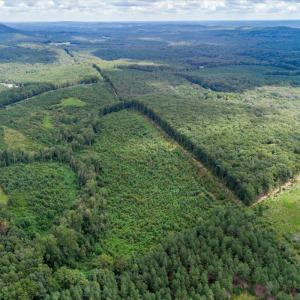 Photo #10 of 62 Grandmas Hill Road, Amherst, VA 62.0 acres