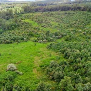 Photo #23 of 62 Grandmas Hill Road, Amherst, VA 62.0 acres