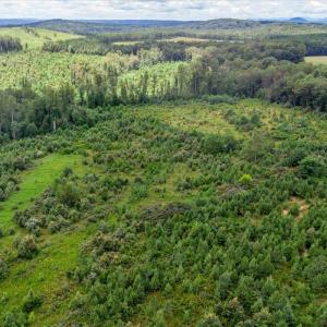 Photo #20 of 62 Grandmas Hill Road, Amherst, VA 62.0 acres