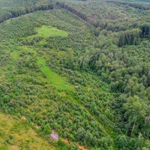 Photo #16 of 62 Grandmas Hill Road, Amherst, VA 62.0 acres