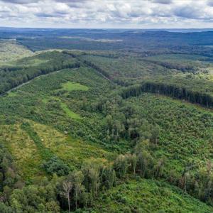 Photo #12 of 62 Grandmas Hill Road, Amherst, VA 62.0 acres