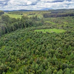 Photo #26 of 62 Grandmas Hill Road, Amherst, VA 62.0 acres