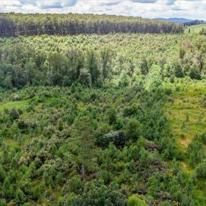 Photo #30 of 62 Grandmas Hill Road, Amherst, VA 62.0 acres