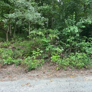 Photo #1 of 12 Marshall Street, Brookneal, VA 0.4 acres