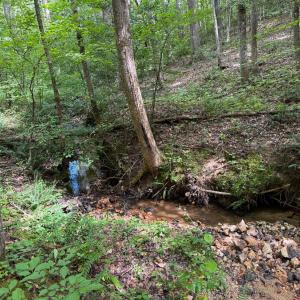 Photo #7 of Holiday Lake Road, Appomattox, VA 5.0 acres