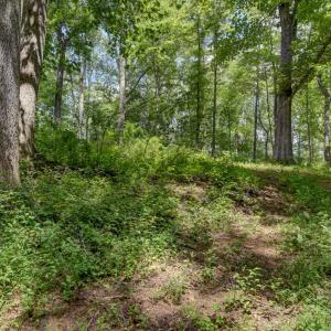 Photo #5 of Otter Creek Road, Bedford, VA 5.6 acres
