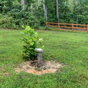 Photo #11 of Otter Creek Road, Bedford, VA 5.6 acres