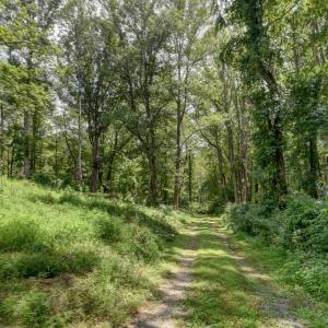 Photo #7 of Otter Creek Road, Bedford, VA 5.6 acres