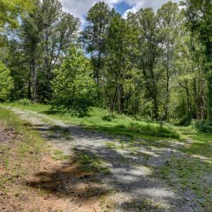 Photo #4 of Otter Creek Road, Bedford, VA 5.6 acres