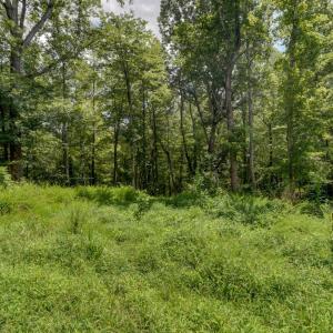 Photo #6 of Otter Creek Road, Bedford, VA 5.6 acres