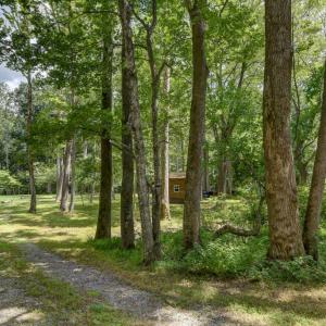 Photo #3 of Otter Creek Road, Bedford, VA 5.6 acres