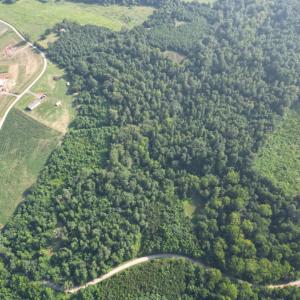 Photo #4 of 13 St Helena Road, Bedford, VA 13.2 acres