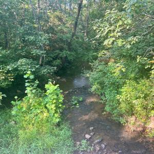 Falling Creek