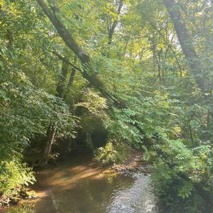 Photo #9 of 13 St Helena Road, Bedford, VA 13.2 acres