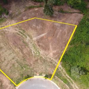 Photo #3 of 938 Elmwood Avenue, Lynchburg, VA 0.4 acres