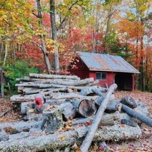 Photo #2 of 3523 Beverly Town Rd, Monroe, VA 4.8 acres