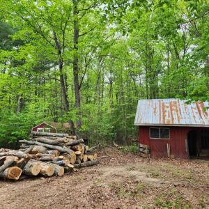 Photo #4 of 3523 Beverly Town Rd, Monroe, VA 4.8 acres