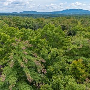 Photo #17 of 3523 Beverly Town Rd, Monroe, VA 4.8 acres