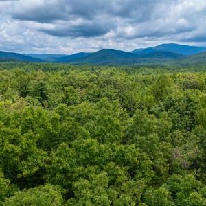 Photo #1 of 3523 Beverly Town Rd, Monroe, VA 4.8 acres