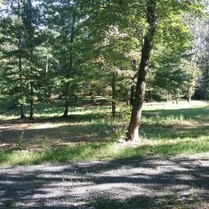 Photo #18 of 3523 Beverly Town Rd, Monroe, VA 4.8 acres