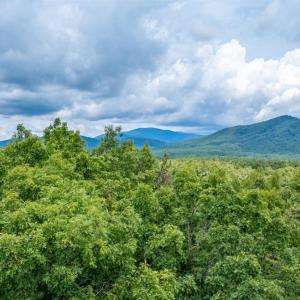 Photo #27 of 3523 Beverly Town Rd, Monroe, VA 4.8 acres