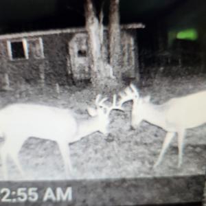 Photo #12 of 3523 Beverly Town Rd, Monroe, VA 4.8 acres