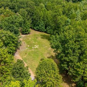 Photo #8 of 3523 Beverly Town Rd, Monroe, VA 4.8 acres