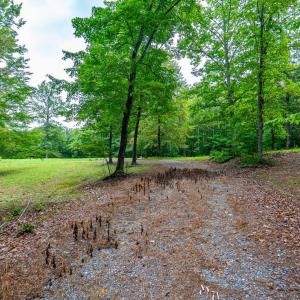 Photo #44 of 3523 Beverly Town Rd, Monroe, VA 4.8 acres