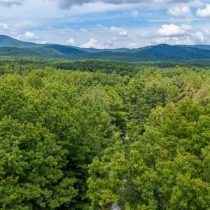 Photo #30 of 3523 Beverly Town Rd, Monroe, VA 4.8 acres