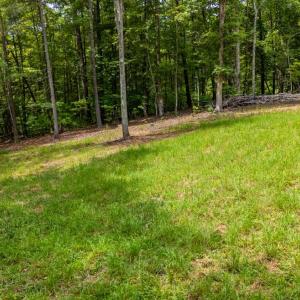 Photo #32 of 3523 Beverly Town Rd, Monroe, VA 4.8 acres