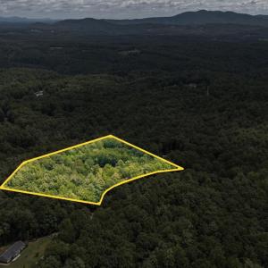 Photo #3 of 3523 Beverly Town Rd, Monroe, VA 4.8 acres