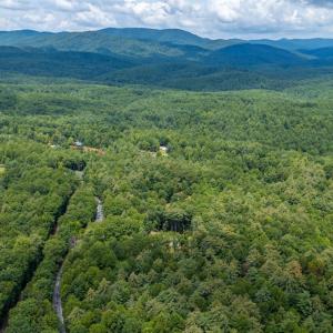 Photo #42 of 3523 Beverly Town Rd, Monroe, VA 4.8 acres