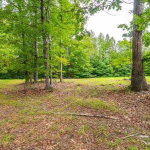 Photo #52 of 3523 Beverly Town Rd, Monroe, VA 4.8 acres