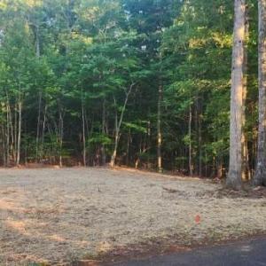 Photo #7 of Buccaneer Road, Moneta, VA 0.4 acres
