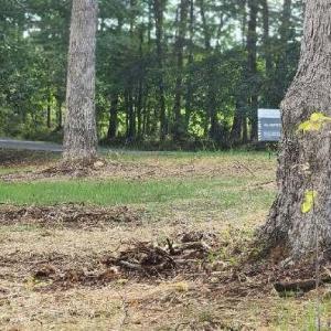 Photo #1 of Buccaneer Road, Moneta, VA 0.4 acres