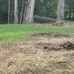 Photo #12 of Buccaneer Road, Moneta, VA 0.4 acres