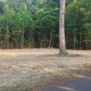 Photo #3 of Buccaneer Road, Moneta, VA 0.4 acres