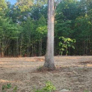 Photo #4 of Buccaneer Road, Moneta, VA 0.4 acres
