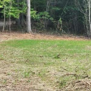 Photo #10 of Buccaneer Road, Moneta, VA 0.4 acres